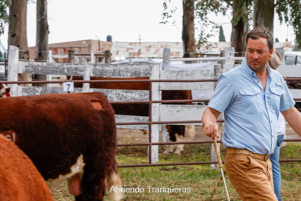 Javier De Ezcurra jurado en la Exposición Nacional Hereford Patagónica en General Conesa