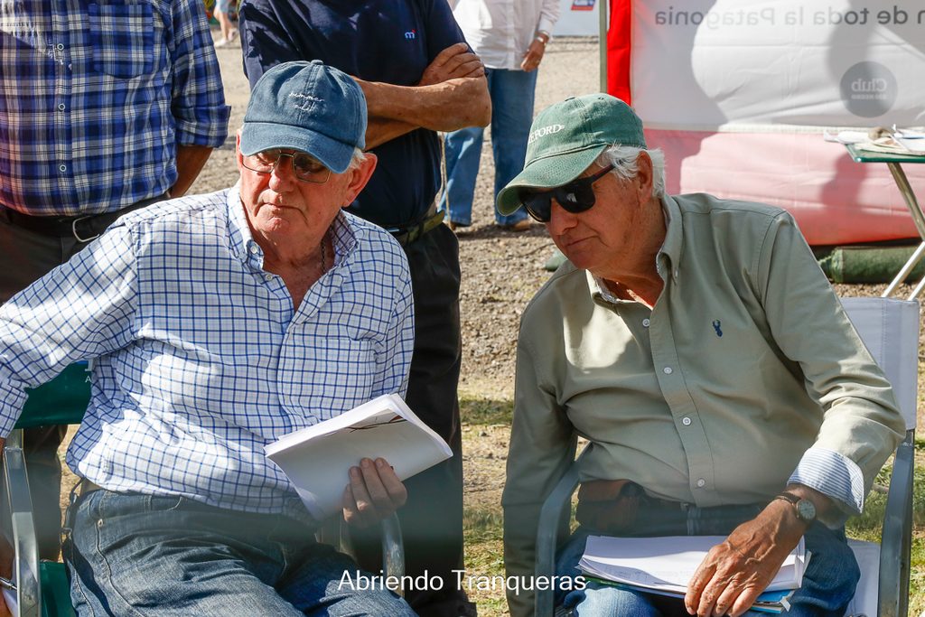 Jura de Clasificacion: observando detenidamente Emilio Ortiz y Hernando Grandolini