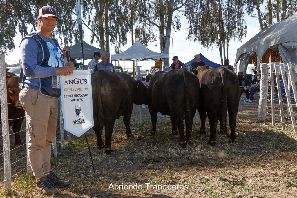 Lote Gran Campeón Macho P.C, mejor Toro de lote R.P 2, Cabaña Don Juan, de Federico Gilardi, Viedma, Rio Negro.