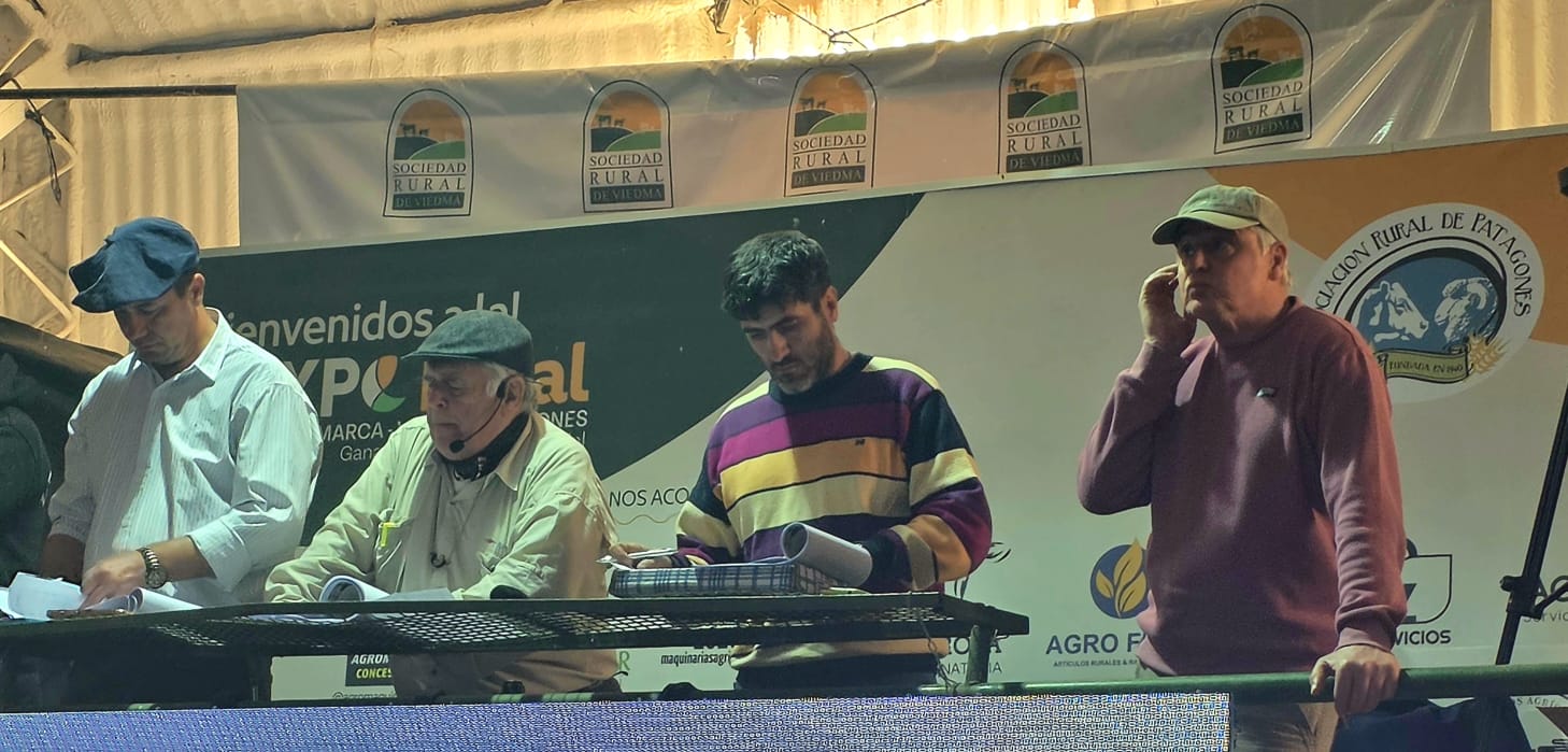 30° Expo Ganadera de la Comarca: Genética de Elite y Fuertes Picos de Cotización en Viedma