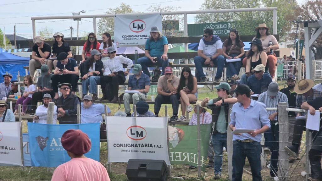 Vista de la tribuna con compradores y asistentes durante las ventas en Choele Choel.